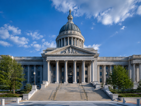 Public Sector